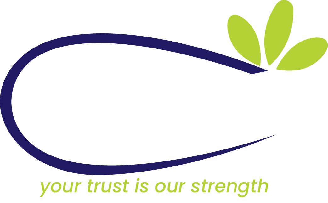 Bolan || Import & Export Dates Company 